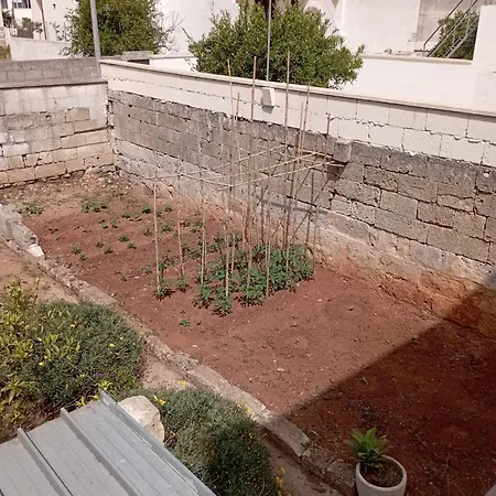 Lisa Dimora Salentina *